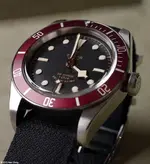 tudor1.webp