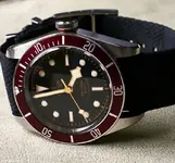 tudor2.webp