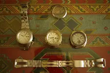 IMGP2603.webp