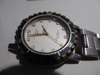 P1080343.webp