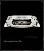 orient3.webp