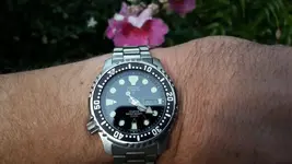 1480691990564100970891.webp