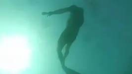 10325513_10153450167854919_3020983747263874306_n.webp