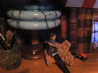 12308590_10153773895694919_1739909877672743439_n.webp