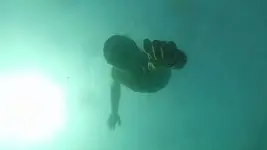 11012186_10153450167879919_7593248171639107114_n.webp