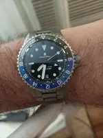 steinhart ag.webp