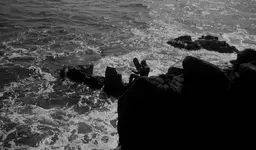 Antonio arrabida.webp