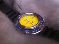 14993406_10154660035634919_5389884167908885866_n.webp