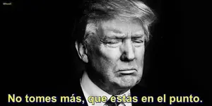 No tomes más, que estás en el punto. D. Trump.webp
