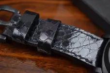 caiman-fuscus-i-black-shiny (9).webp