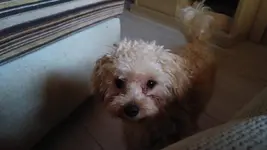 20161004_173935.webp