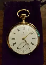 omega oro.webp