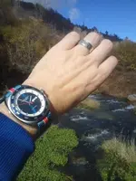 CAM00381 (1).webp