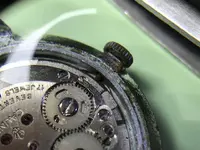 IMG_0653.webp IMG_0653.webp