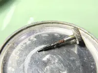 IMG_0656.webp IMG_0656.webp