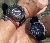 1706736233511.webp