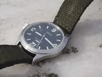 incursore pelillo.webp