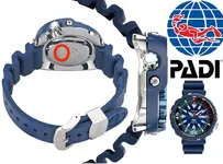 padi2.webp