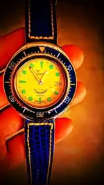 15107235_10154676304729919_5178094645529689215_n.webp