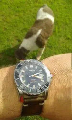 PARNIS 200 C&B 007.webp