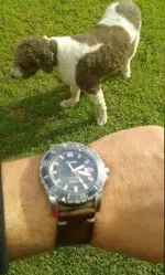 PARNIS 200 C&B 009.webp