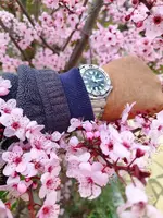 IMG_20240225_121416.webp