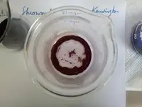 20130419_113531.webp