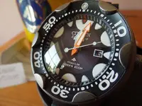 DSCN0674.webp