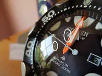 DSCN0673.webp