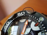 DSCN0668.webp