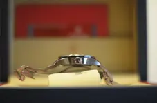 _DSC3751-2.webp _DSC3751-2.webp