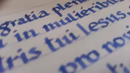 IMAG0396.webp