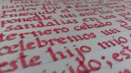IMAG0394.webp