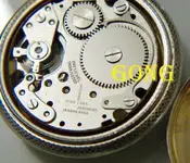 5.webp