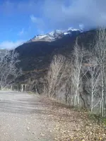 CAM00360.webp