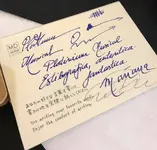 FullSizeRender 4.webp