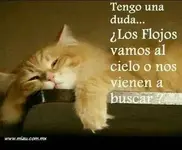 4e1c6eccf6b6d4fd60475eeac4aceb20.webp