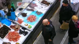 P1230393.webp