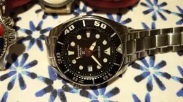 DSC_6127.webp DSC_6127.webp