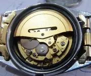 IMG_0120 (Medium).webp