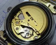 IMG_0123 (Medium).webp
