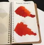 FullSizeRender 4.webp