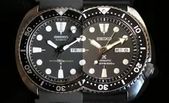 9824506_face-off-seiko-turtles_119d209a_m.webp