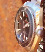 IMG_3352 (1113x1280).webp