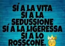 IMG-20170106-WA0004.webp