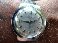 MULCO ETA.webp