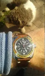 Vostok huevo 09.webp