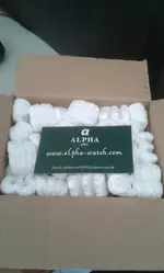 ALPHA SPEEDY 002.webp