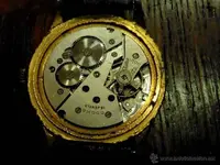 50378246_26752953.webp