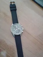 Gecko  ALPHA MOONWATCH 001.webp
